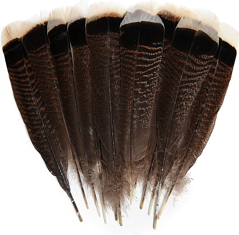 24Pcs Natural Wild Turkey Tails Feathers Quill Bulk 8-10Inch 20-25Cm for DIY Cra