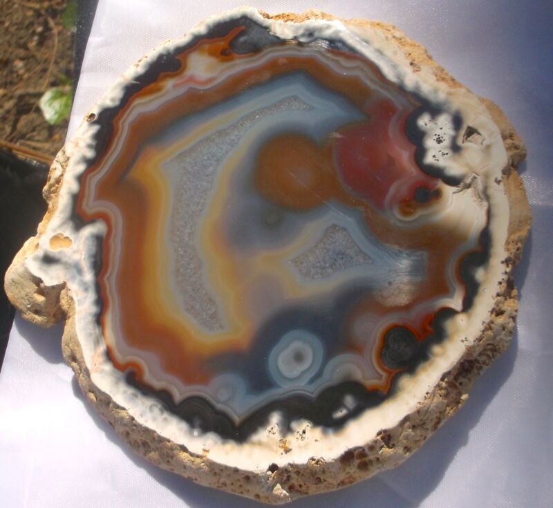 Fine Agate Nodule(Polished One Side) Amazingly Colorful Banding & Orbs 1.1 Lbs  