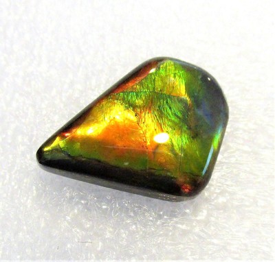 AMMOLITE GEMSTONE 19mm x 14mm
