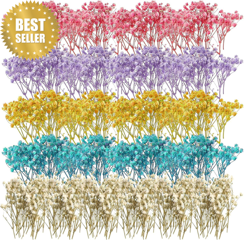 100 Pcs Mini Dried Baby Breath Flowers Gypsophila Mixed Color Dried Flowers for