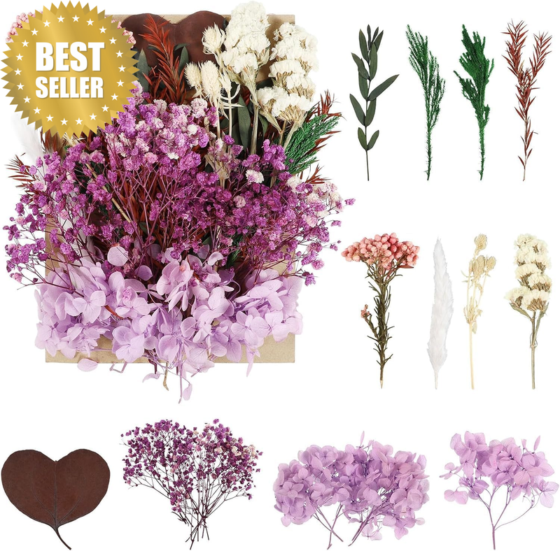 Natural Dried Flowers Set, Real Pressed Flowers for Scrapbooking, DIY Candles, R