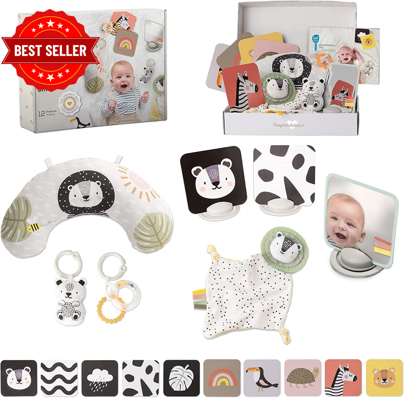 Newborn Develop and Play Gift Set. Development Kit Includes Tummy-Time Pillow, F
