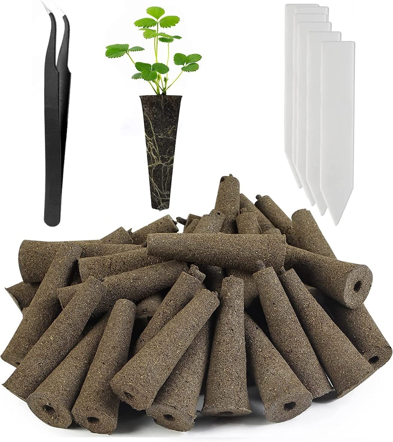 Replace root. Seed pods. rootpods.