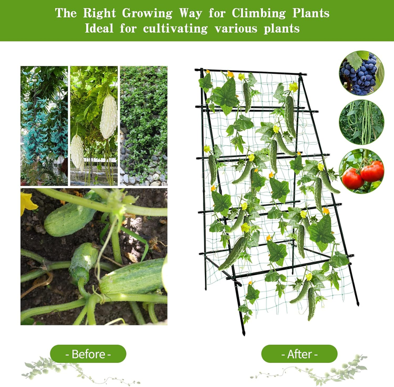 Cucumber Trellis 69.8" H X 36" W, a Frame Garden Trellis for Raised Bed Climbing