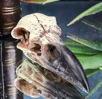 Gothic Reliquary Raven Crow Skull Small Pendant Sacred Talisman Macabre Figurine