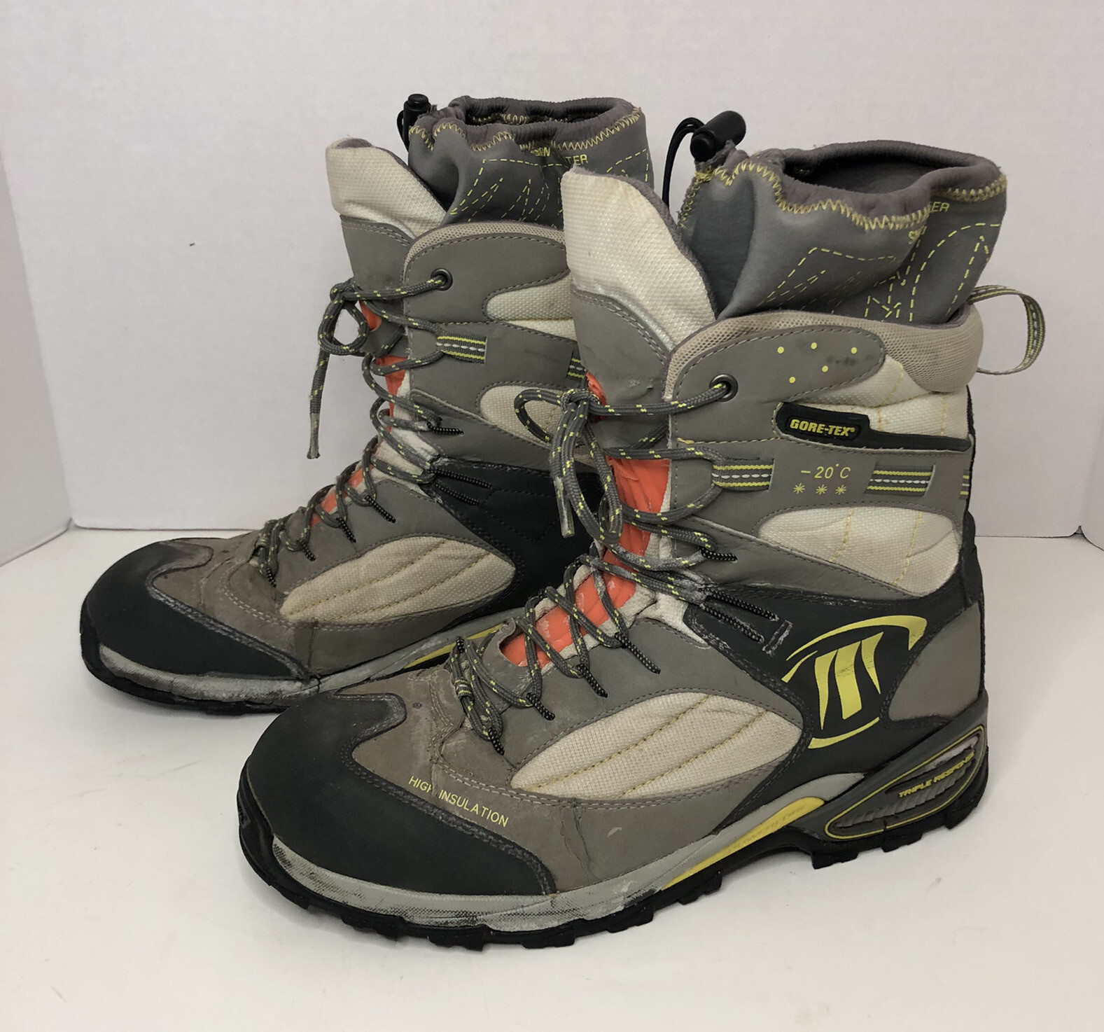 Ботинки Tecnica Evolution GTX Gore-Tex 