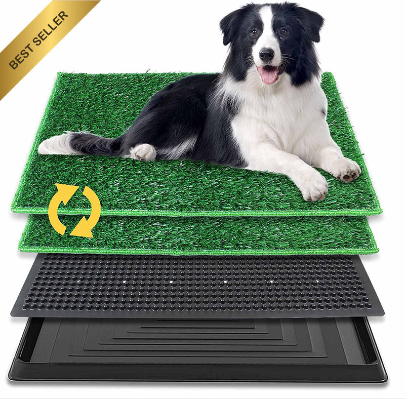 Dog Potty Training System with Two Artificial Grass Mats