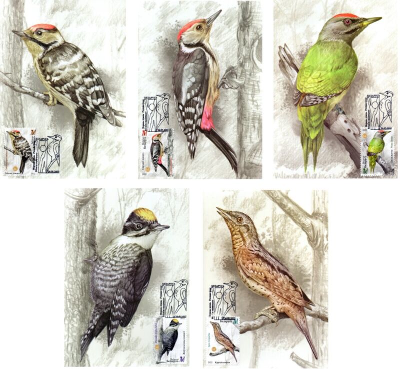 2022. Birds Of Belarus. Woodpeckers. Maxi Cards (Fdc)