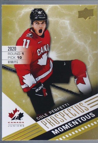 2021 Upper Deck Team Canada Juniors - Cole Perfetti #PM-1