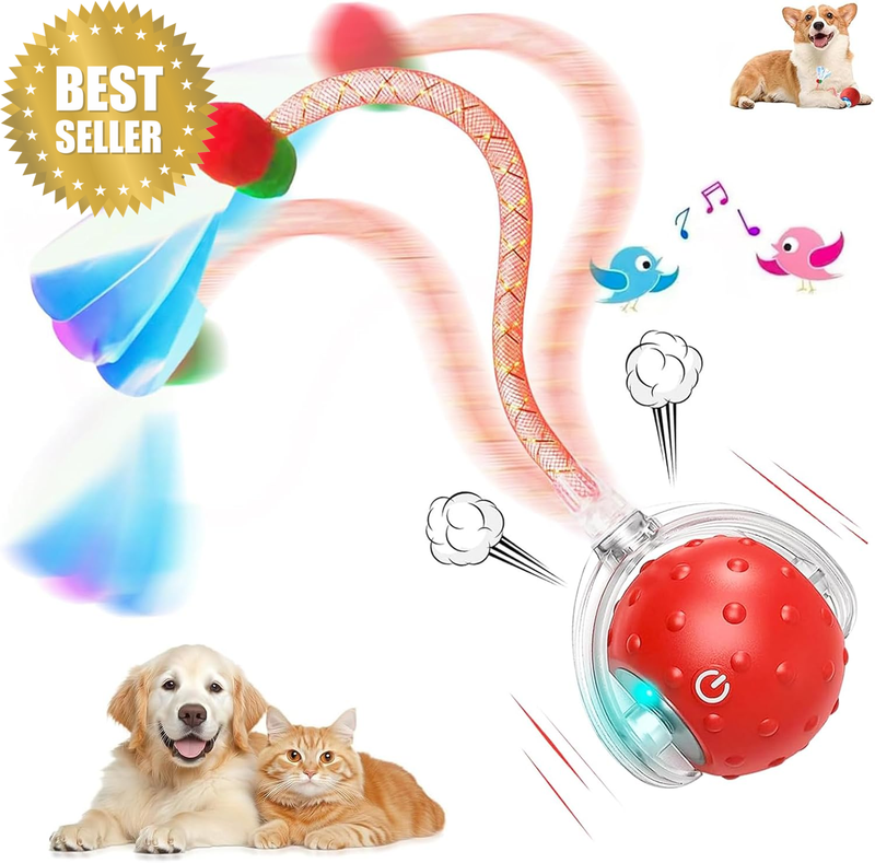 Interactive Cat Toys Ball for Indoor Cats Fast Rolling on Carpet, Chirping & Mot