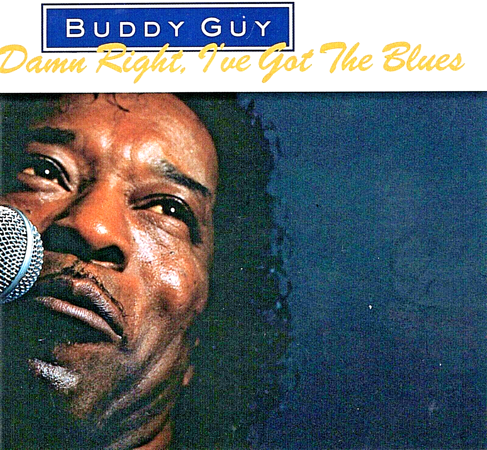 欧LP Buddy Guy Damn Right, Ive Got The Blues MOVLP2702 Music On Vinyl, Silv 未開封 /00260 $_57.PNG?set_id=880000500F