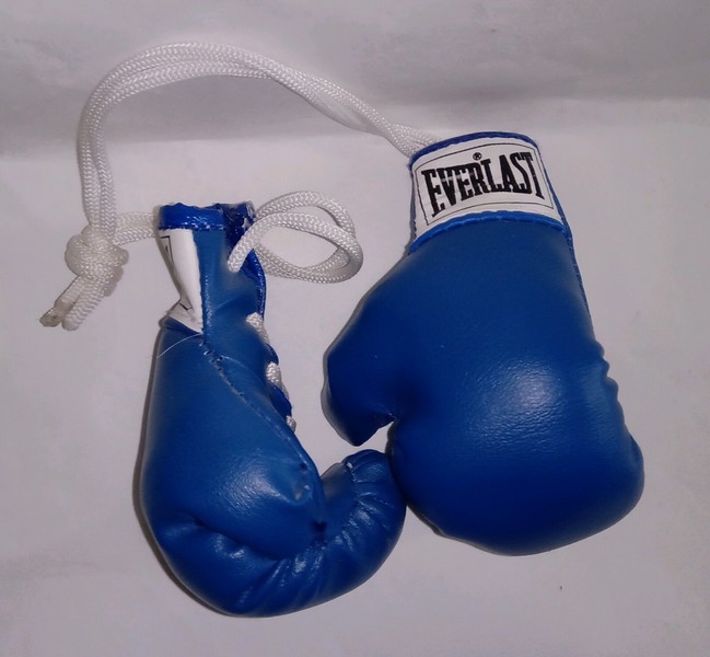 boxing gloves gumtree