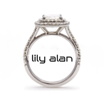 lily-alan