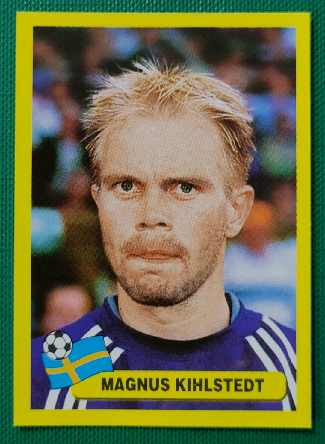 kny17807#84 2002 FIFAオフィシャルトレーディングカード 2002 FIFA World Cup Korea & Japan Trading Card PANINI Brand