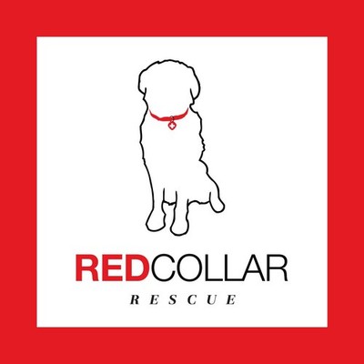 Red Collar Rescue