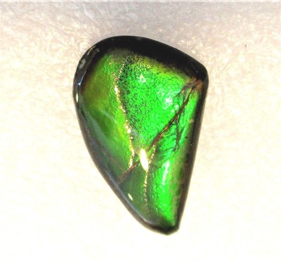 AMMOLITE GEMSTONE 17mm x 11mm