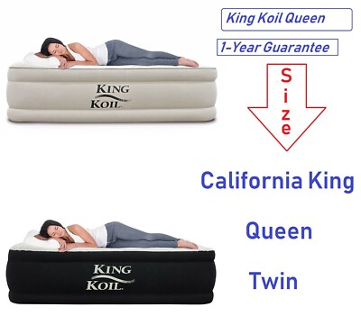 Best Twin Size Air Mattress Inflatable Air Bed Blow Up Beds Raised Built in (Best Twin Air Bed)