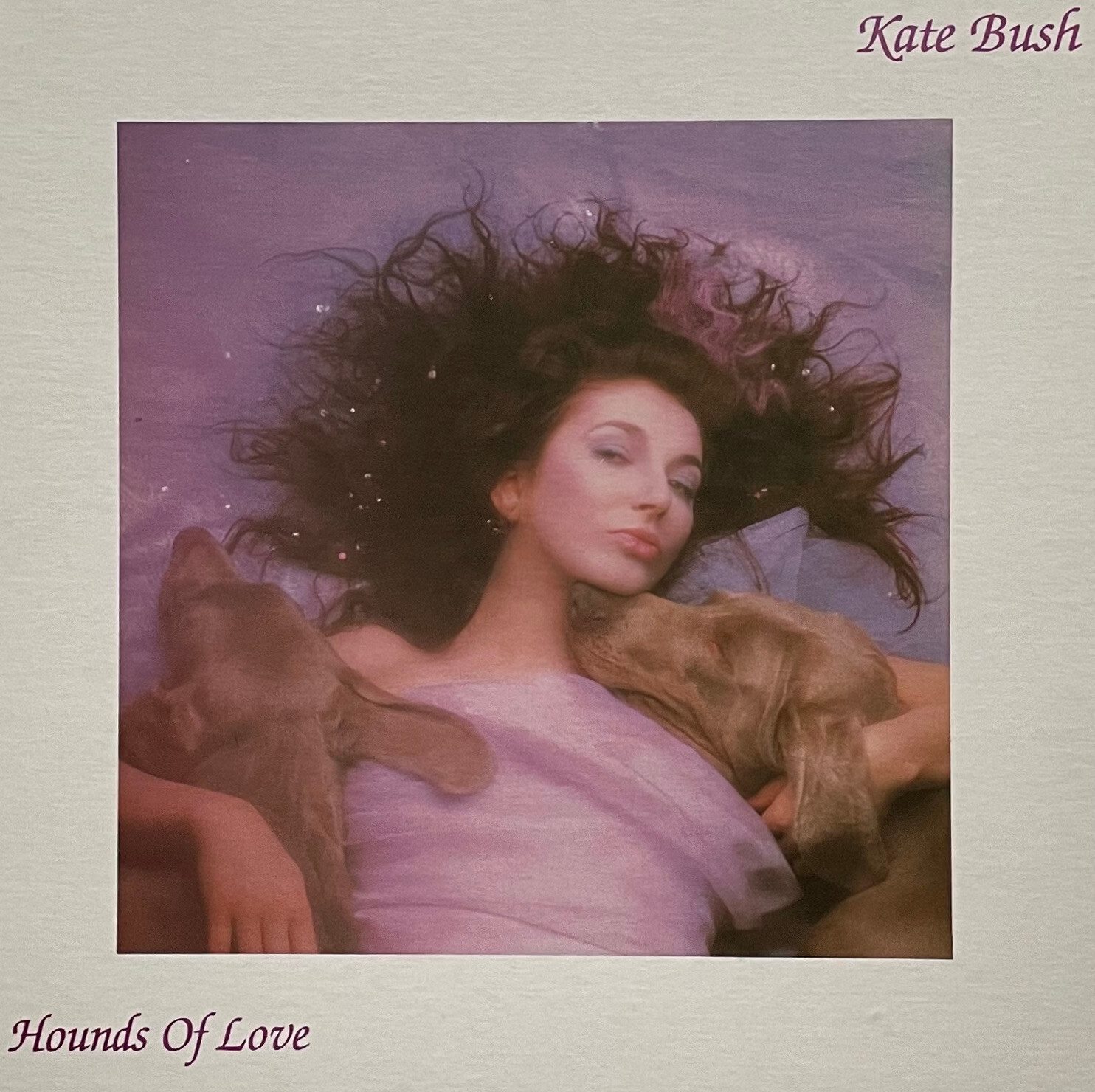 Kate Bush Hounds Of Love 10インチ未開封 RSD限定盤 Hounds of Love - Kate Bush