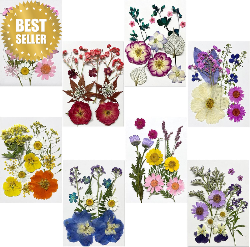 96Pcs（8 Sheets） Dried Pressed Flowers & Leaves for Crafts - Natural Dry Flowers
