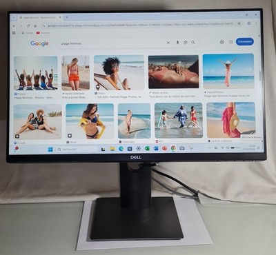 Écran Moniteur Dell P2219H 22 IPS Full HD 60Hz HDMI Displayport VGA USB