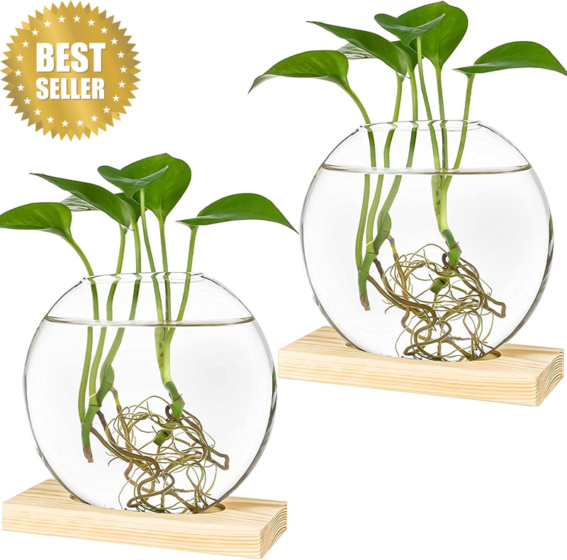 Desktop round Glass Planter Terrarium Flower Vase with Wooden Stand for Propagat