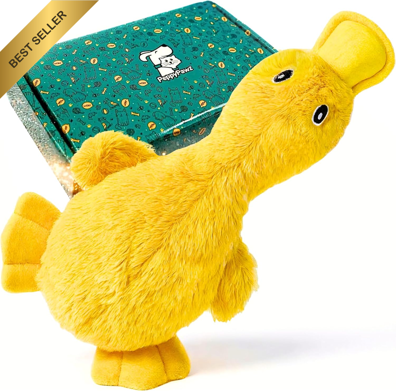 Minimal Stuffing Squeaky Crinkle Soft Plush Yellow Cute Duck Dog Toy in Gift Box