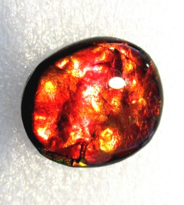 AMMOLITE GEMSTONE 18mm x 16mm