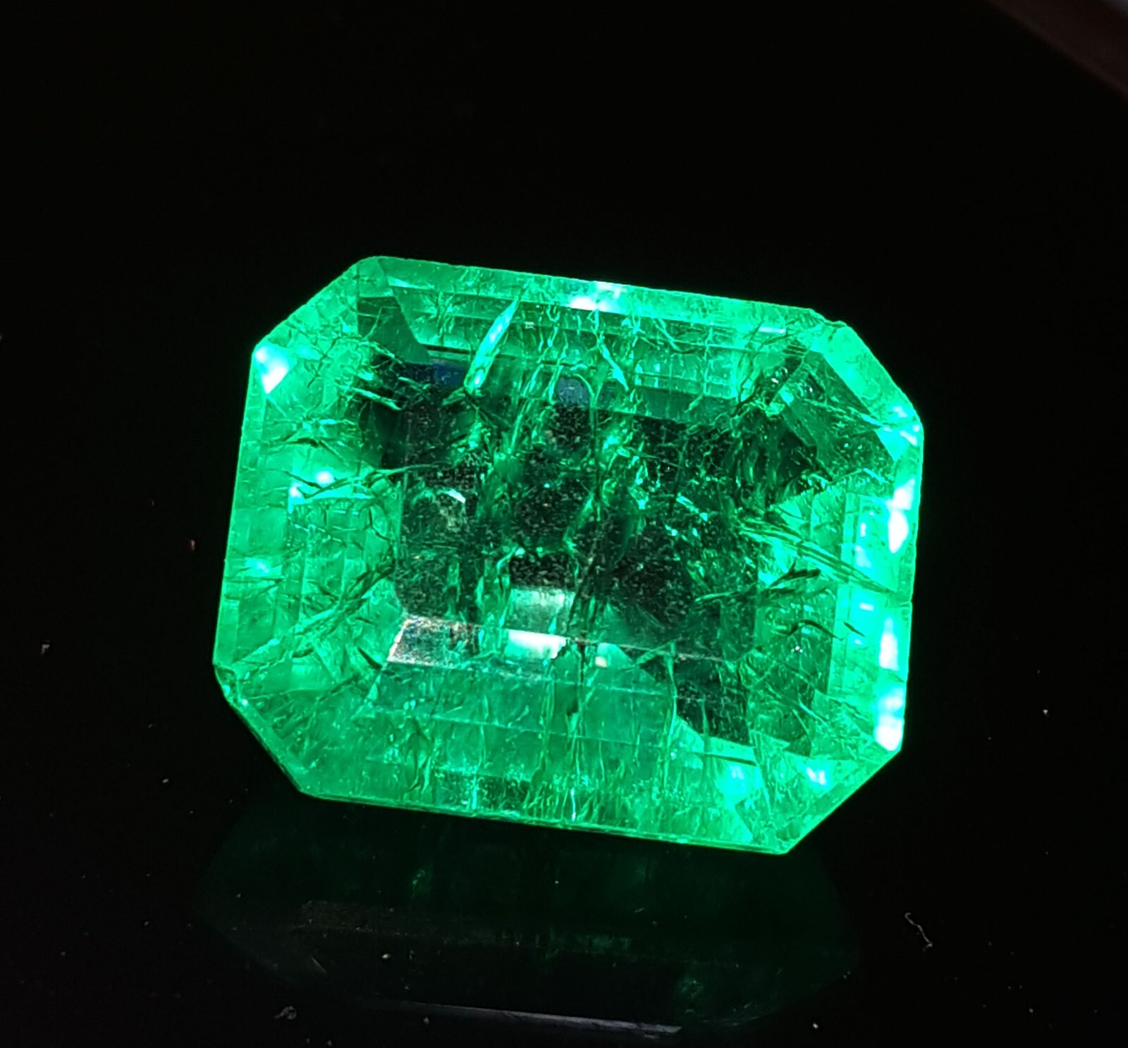 ☆新品未使用NUTS OUTDOOR BRIESTA Emerald ☆新品未使用NUTS OUTDOOR BRIESTA Emerald Amazon.com