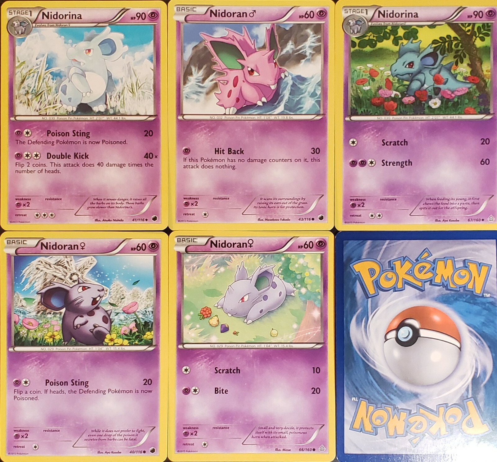 5x) NIDORINA NIDORAN - Pokemon Card Collection Set | eBay