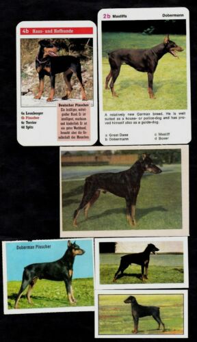 6 Different Vintage DOBERMAN PINSCHER Trade/Tea Dog Cards Lot