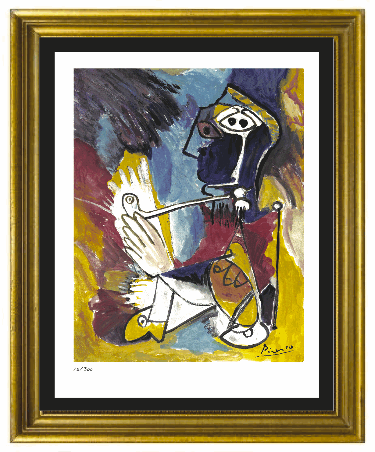 HAPPY BIRTHDAY PICASSO 写真集 HAPPY BIRTHDAY PICASSO - BOOK