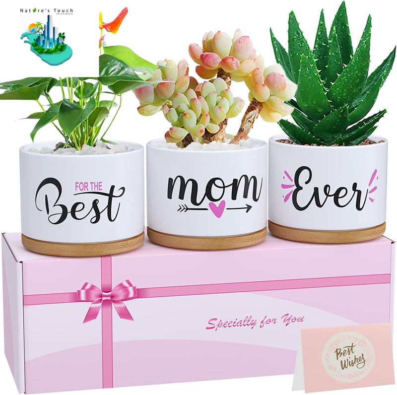Unique Mothers Day Gift Box Succulent Planters Plant Pots Birthday Gifts For Mom