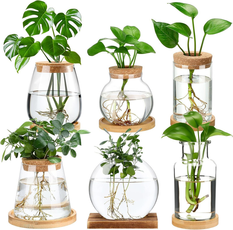 6 Pcs Plants Propagation Stations Planter Terrariums with Wooden Lid
