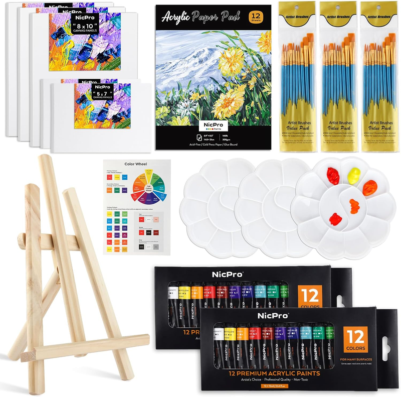 65PCS Acrylic Paint Canvas Set, Kids & Adults Art Painting Supplies Kit with 2 S