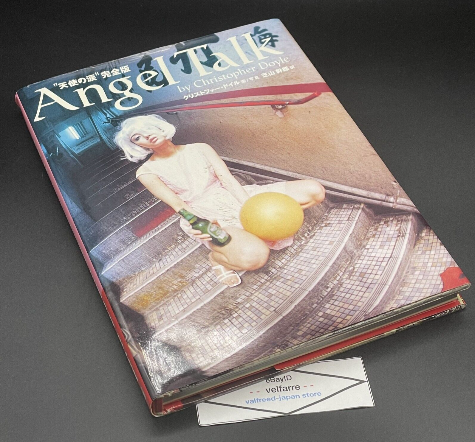 Angel Talk Fallen Angels by Christopher Doyle Official Photo Book