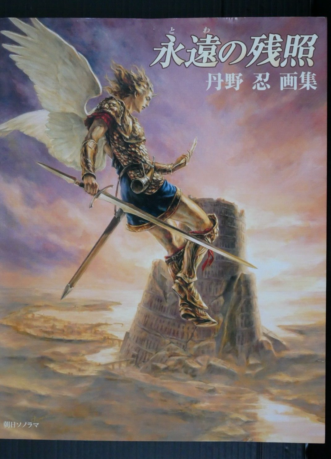 Towa no Zanshou Art Book - Guin Saga by Shinobu Tanno, Japan
