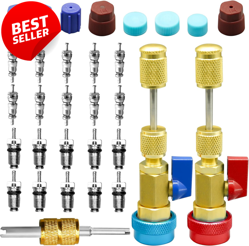 31PCS R134A AC Valve Core Remover Installer Tool Kit Caps - US