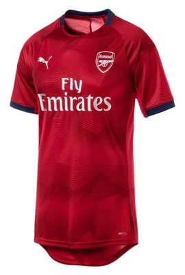 Tshirt PUMA AFC GRAPHIC JERSEY 75463301 Tshirt Herren T Shirt Sport Freizeit
