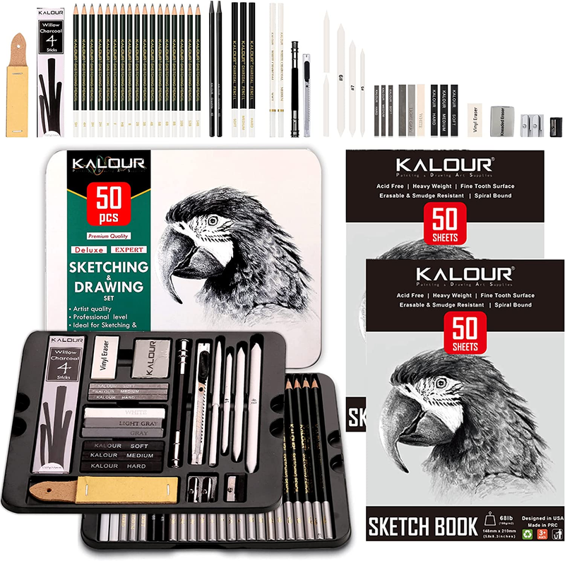 Sketch Drawing Pencils Kit Two Sketchbook 52-Pack Graphite Charcoal Artists Tool