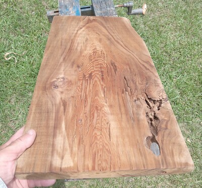 Authentic! Old Growth Ancient Pecky & Burl Sinker Cypress Craft Wood Returns OK!