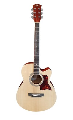 Acoustic Guitar for beginners, Students 40'' Full Size Natural with Pack SPS377PG