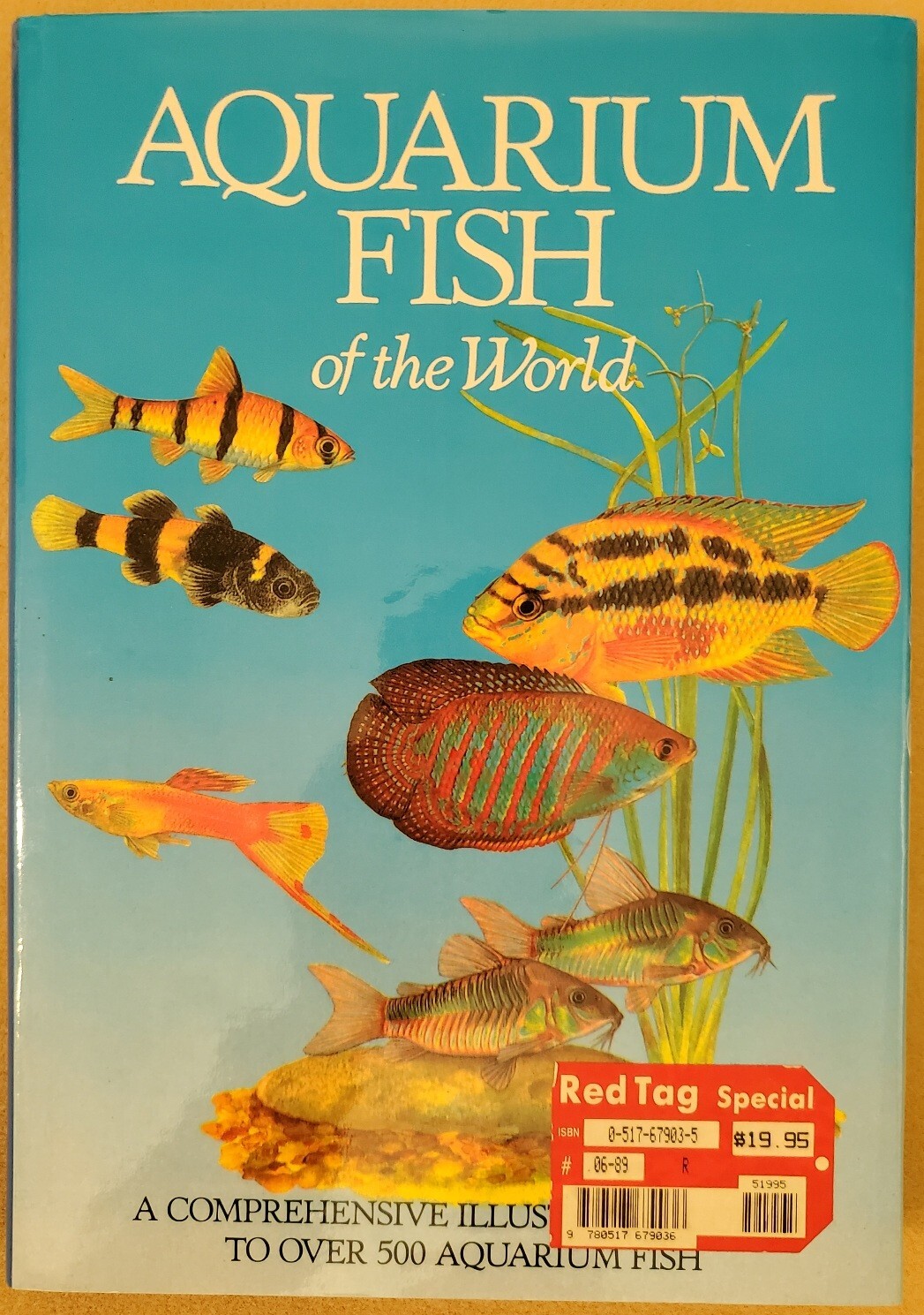 洋書　Freshwater Aquarium Fishes 淡水魚　大型本 洋書Freshwater Aquarium Fishes 淡水魚大型本