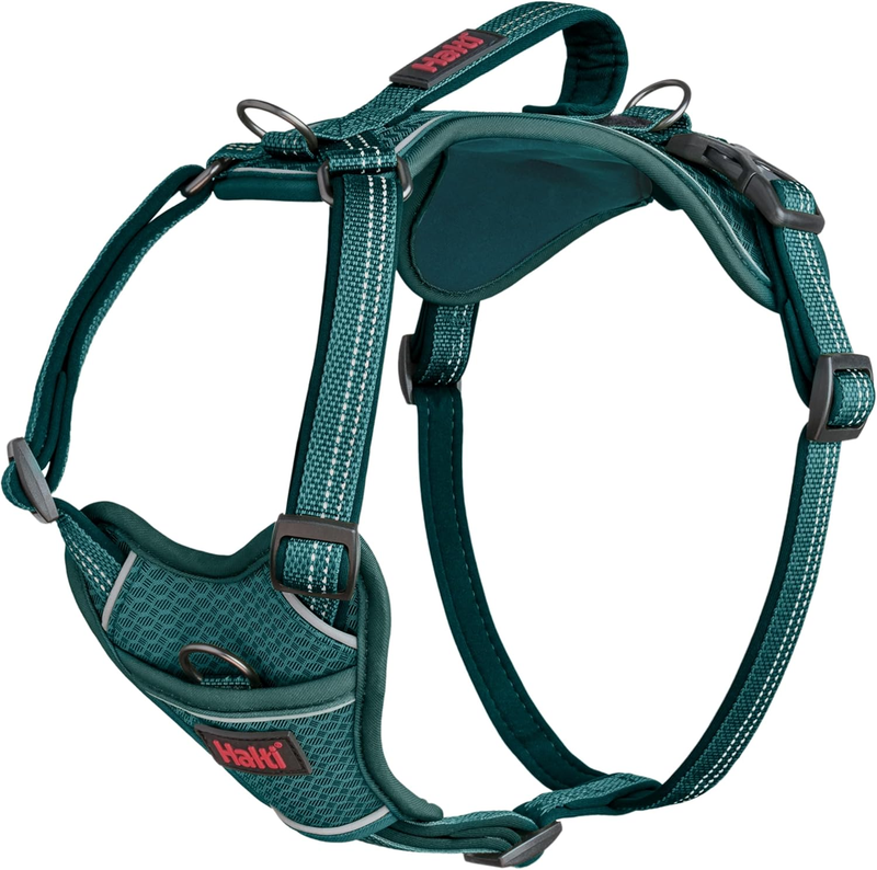 HALTI Anatomy Dog Harness with Handle - Provides Your Dog Freedom of Movement for Comfortable Walking. 3 Leash Attachment Points, Neoprene Padded, Adjustable, and Reflective (Size Large, Teal)