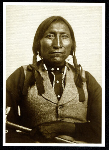 ⫸ 854 Postcard LONE WOLF Native American Kiowa Indian Chief1871 Soule Photo New 