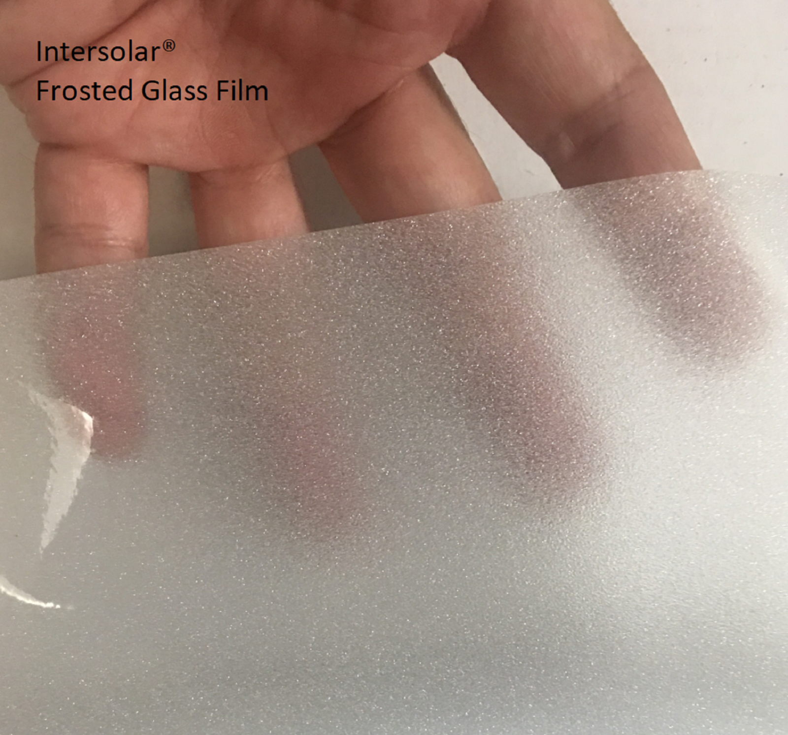 Frosted Glass Film Bedroom Bathroom Office Window Tint Static Cling Intersolar®