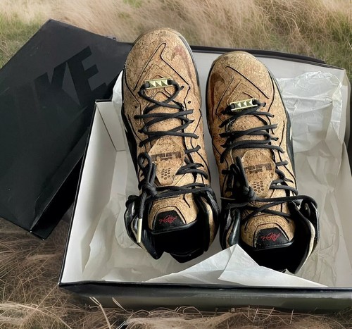 Nike Lebron 12 EXT Cork スニーカー NIKE LEBRON 12 EXT CORK 