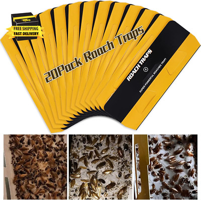 20 Pack Roach Traps, Cockroach Traps Indoor Home, Glue Roach Traps, Child & Pets