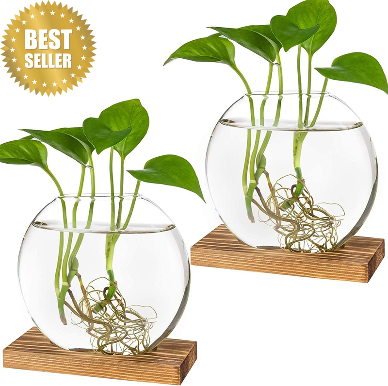 Desktop round Glass Planter Terrarium Flower Vase with Wooden Stand for Propagat