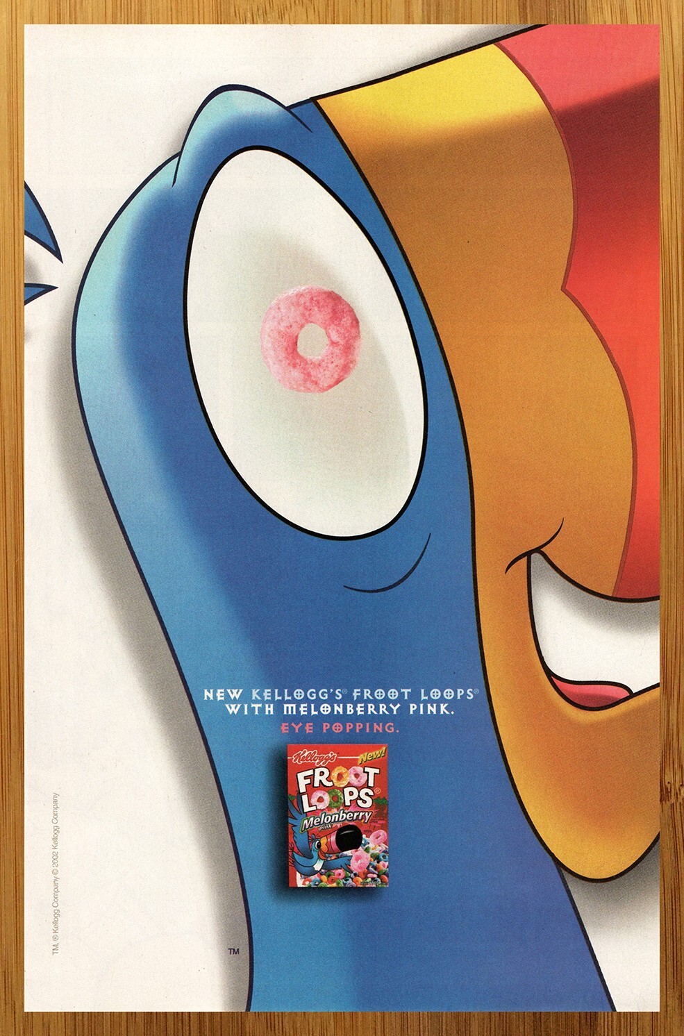 ポスター B2 COOL DEVICES CURIOUS FRUIT BY MON-MON ポスター
