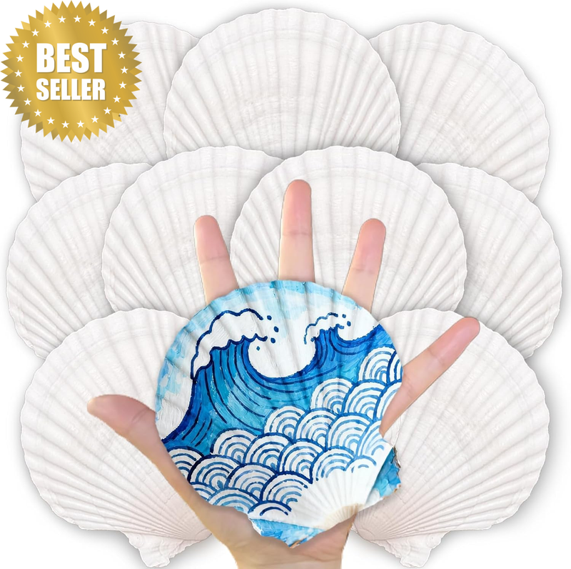 10PCS Large Scallop Shells for Crafts, 4-5 Inch Natural Sea Shells for Decoratin
